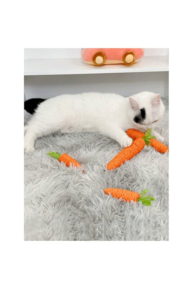 Set of 2 Cat Toys – Yeowww! Banana with Premium Catnip (17 cm) + Sisal Carrot with Bell - 10