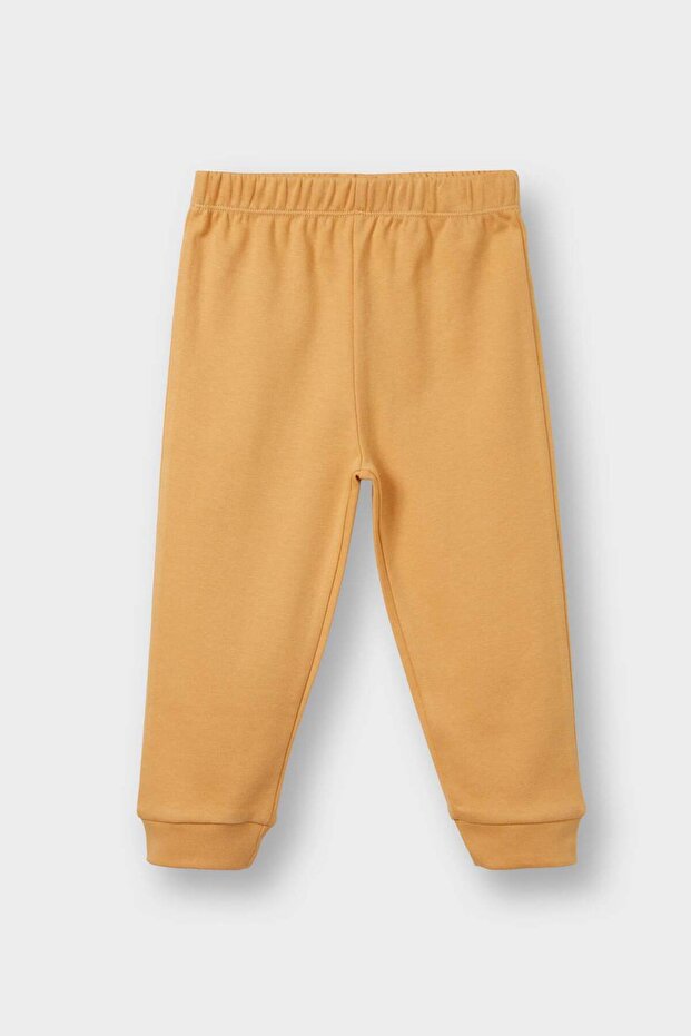 Erkek Bebek Pijama Takımı Aslan Baskılı Uzun Kollu Üst Uzun Alt F0551A525AU - 2