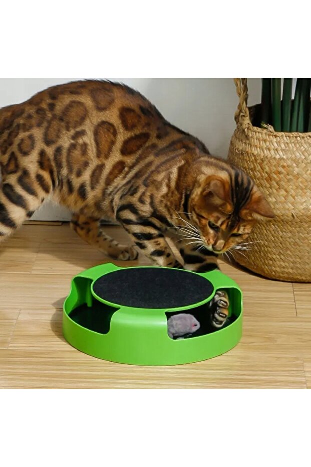 CAT TOY INTERACTIVE WHEEL WITH MOUSE SCRATCHING POSTS RUNNING MOUSE - 5
