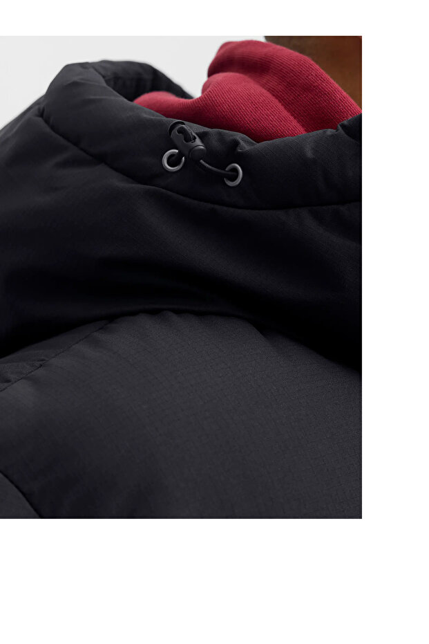 12282932 PUFFER MONT - 5