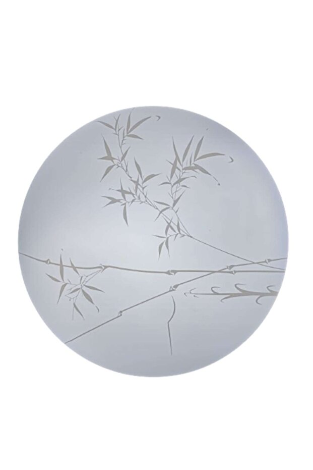 Ceiling Light with Integrated LED 24W - 2