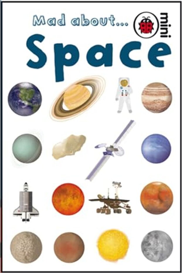Mad About Space Ladybird Minis