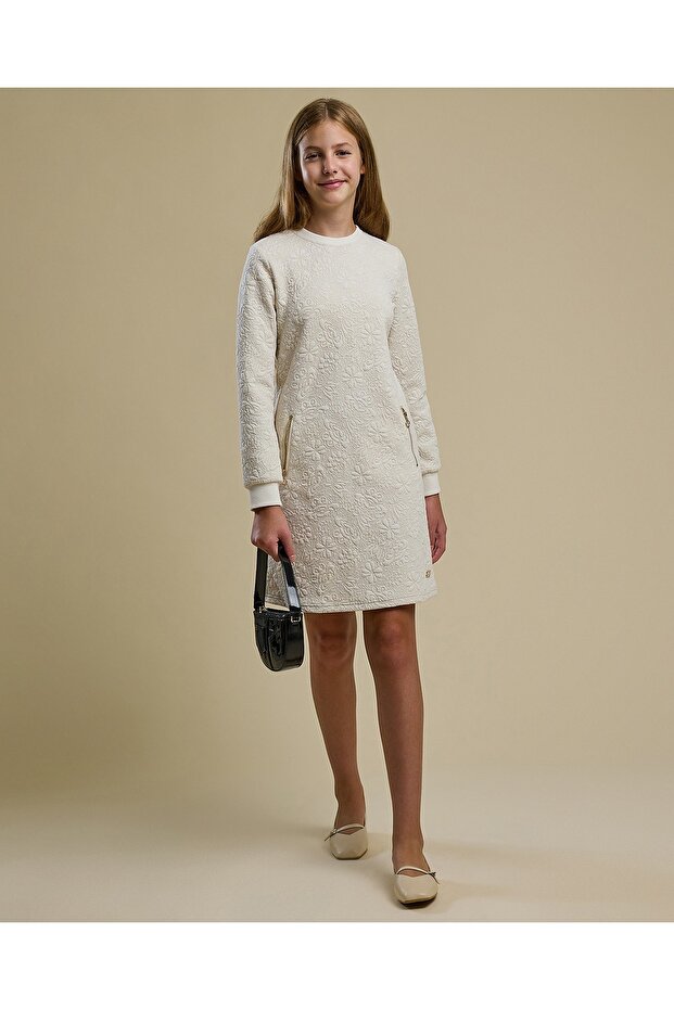 Textured A-Line Dress with Crew Neck and Long Sleeves