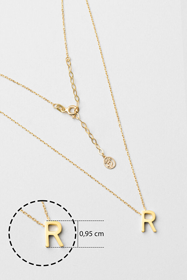 R Harfi 18 Ayar Sarı Altın Kaplama 45 Cm Gümüş Kolye - 2