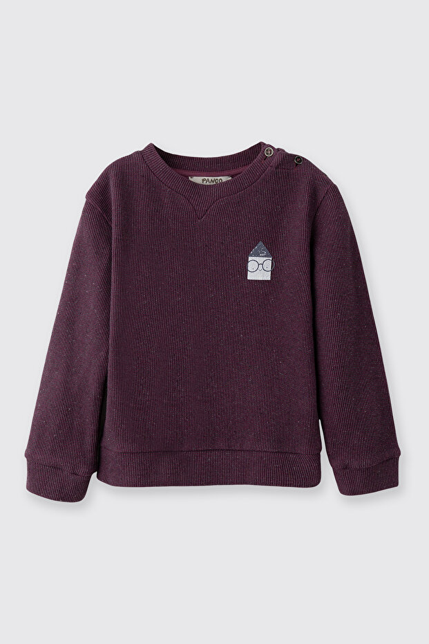 Baby Boy Collared Buttoned Burgundy-Melange Sweatshirt