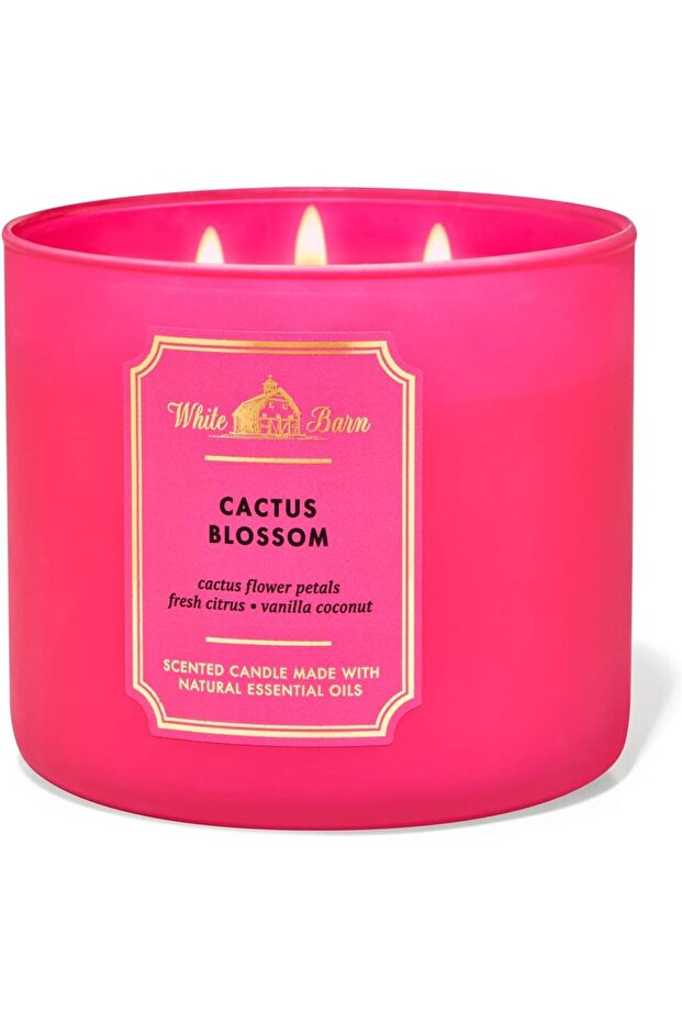 Cactus Blossom 3-Wick Candle - 1