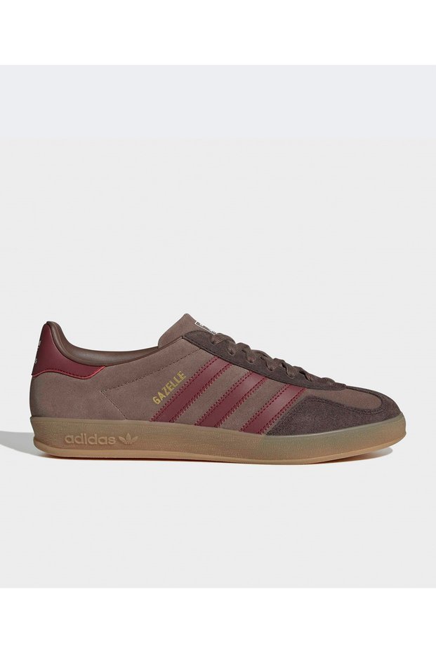 Gazelle Indoor