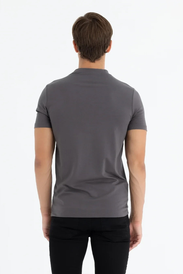 AL Erkek Gri Bisiklet Yaka Basic Tişört - 2