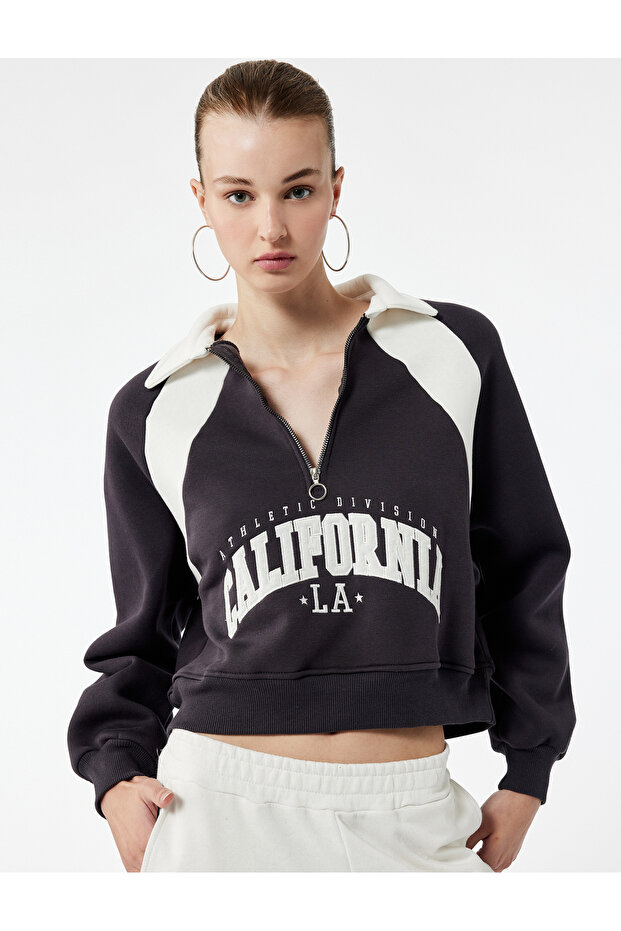 Raised Embroidered Half Zip Collar Oversize Crop Sweatshirt