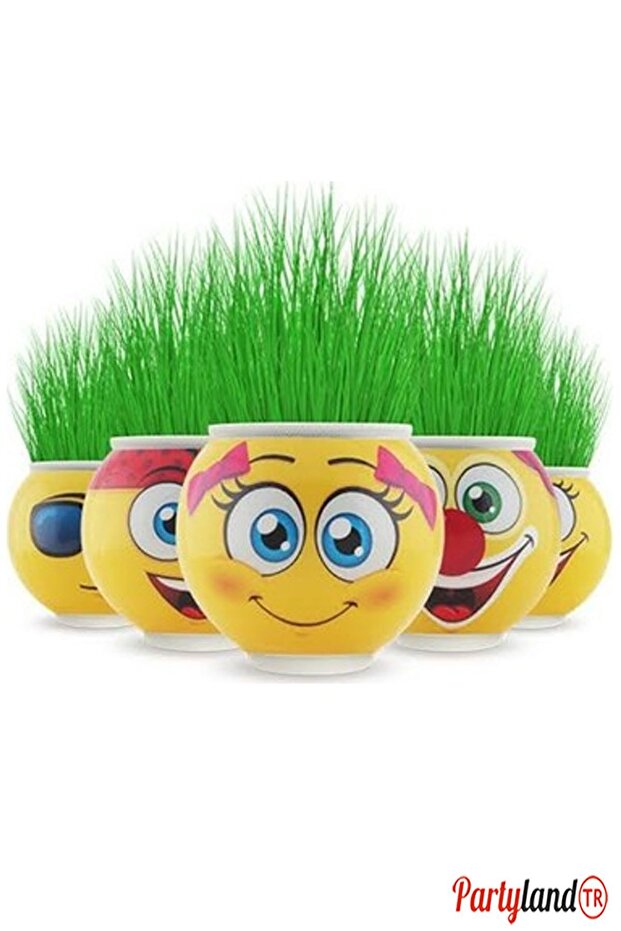 PartylandTR Emoji Çim Adam 5 Adet