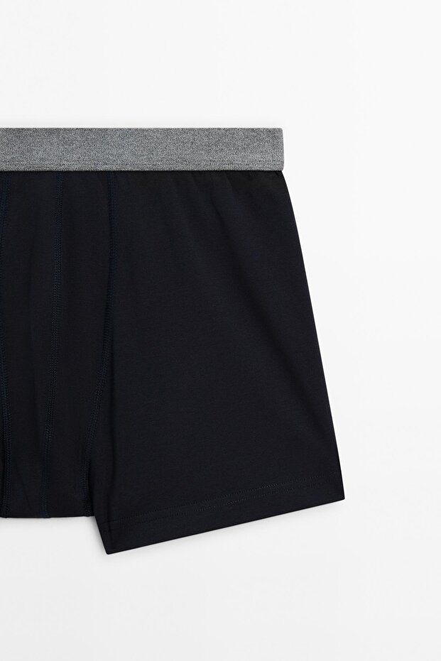 Gri bel bantlı boxer - 7