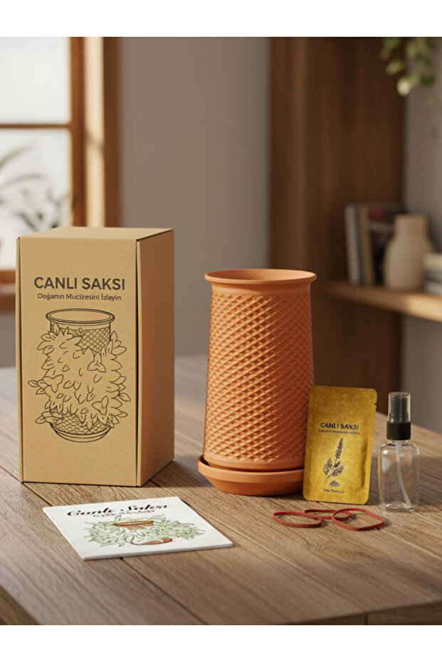 Canlı Saksı - çömlek saksı - Doğanın Mucizesini İzleyin - 9