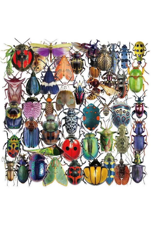 50pcs All 50pcs Cartoon Cute Cartoon Insect Beetle Stickers PET for Toy DIY Luggage Laptop Guitar Sk