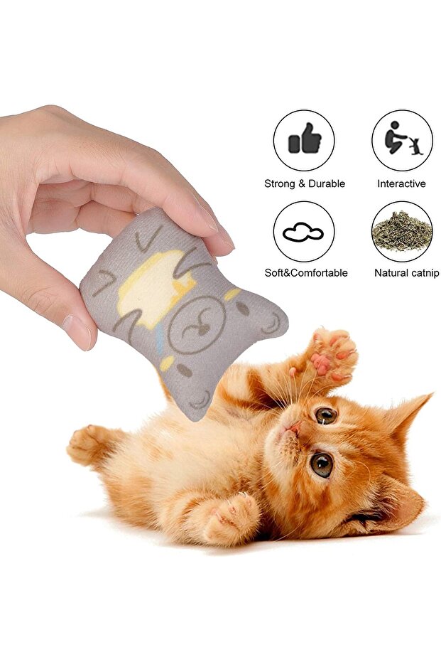 Sunscreen 5 Pack Catnip Plush Cat Toys - Interactive Catnip Pillow Animal Shapes - 4
