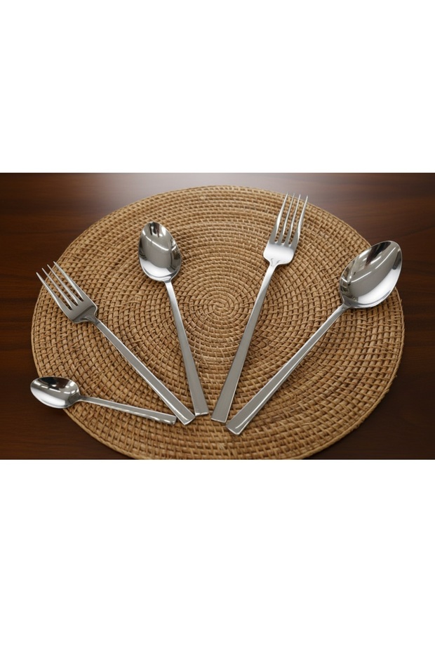 30 PIECES FORK SPOON SET