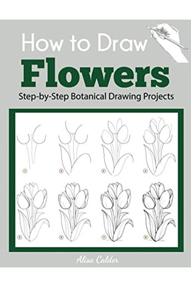 How To Draw Flowers Stepbystep Botanical Drawing Projects