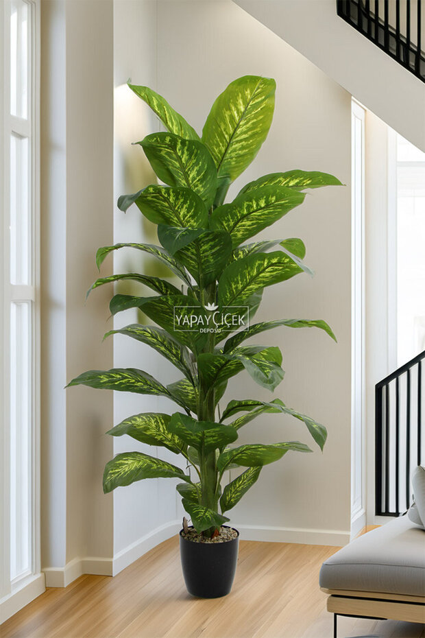 Yapay Ağaç Yoğun Yapraklı Difenbahya 160-170 cm Yeşil-Sarı (34 Yapraklı) - 1