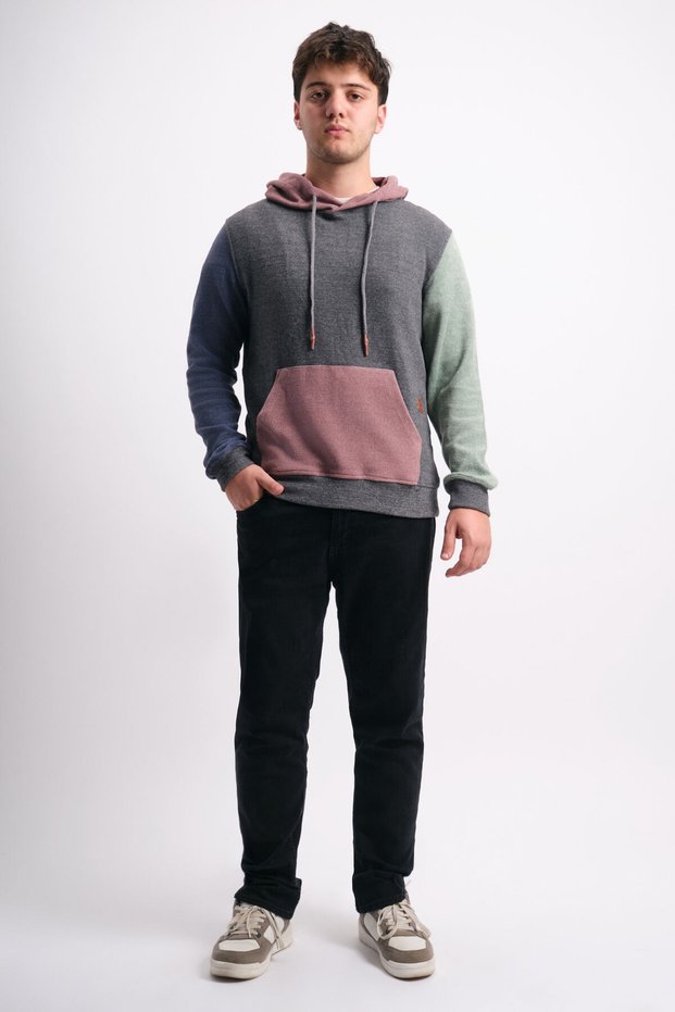 Regular Fit Color Block Men's Hooded Sweatshirt