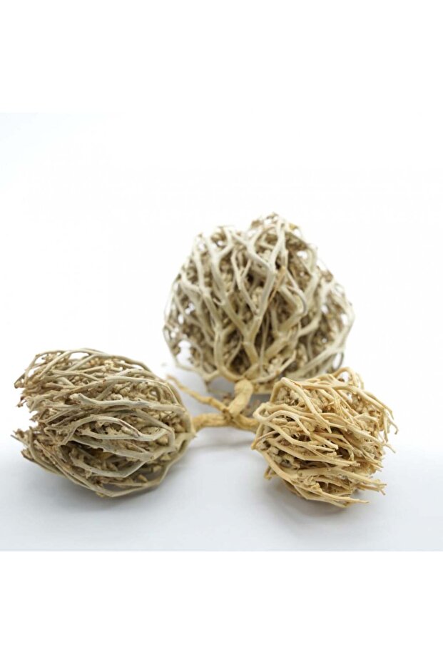 كف مريم 125 جم - 3