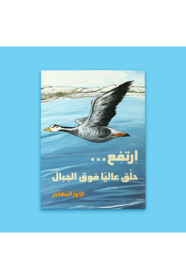 Soar high above the mountains | Migratory geese