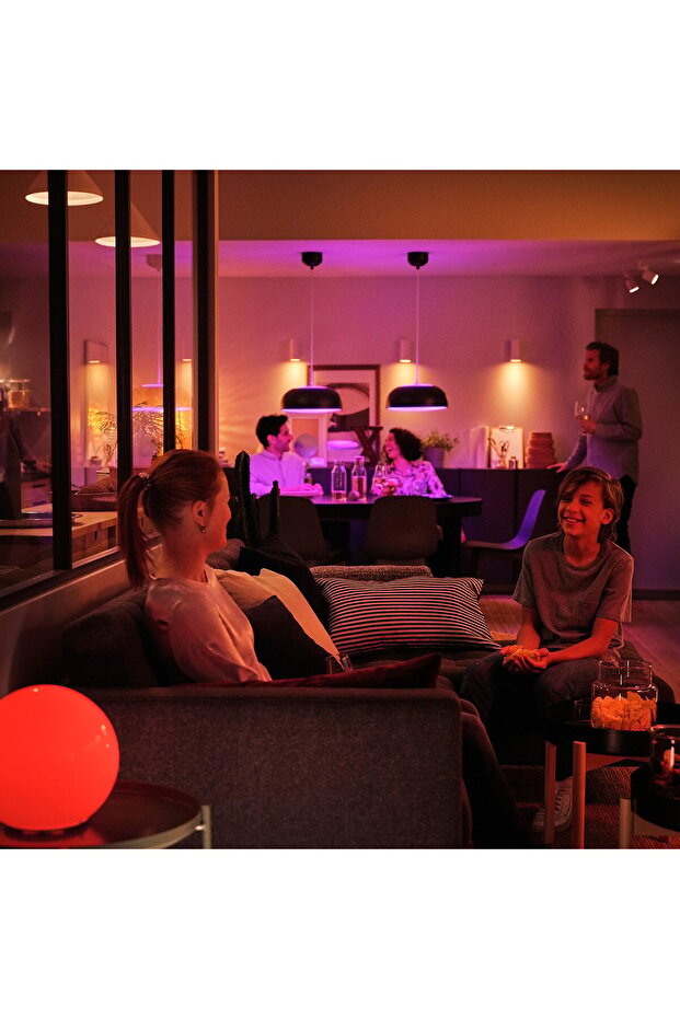 Remote Control Set, Smart Wireless Dimmable/Colour And White Spectrum, E27 - 4