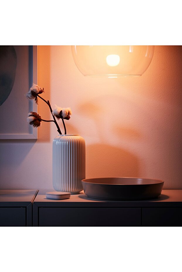 Remote Control Set, Smart Wireless Dimmable/Colour And White Spectrum, E27 - 3