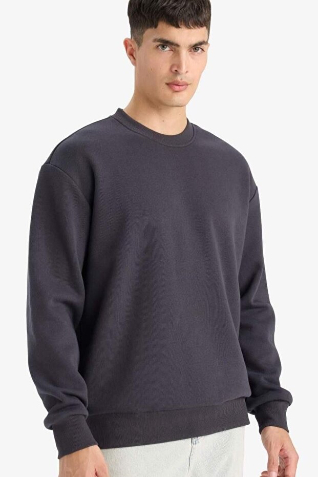 Relax Fit Crew Neck Thick Inside Soft Fleece Anthracite Men's Sweatshirt T5139Az/Ar138