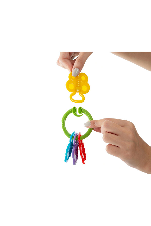 Çıngırak Dişlik 644 - 3