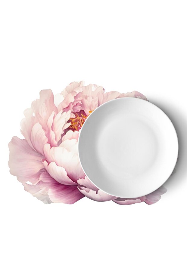 Supla servis- 12419 - 2