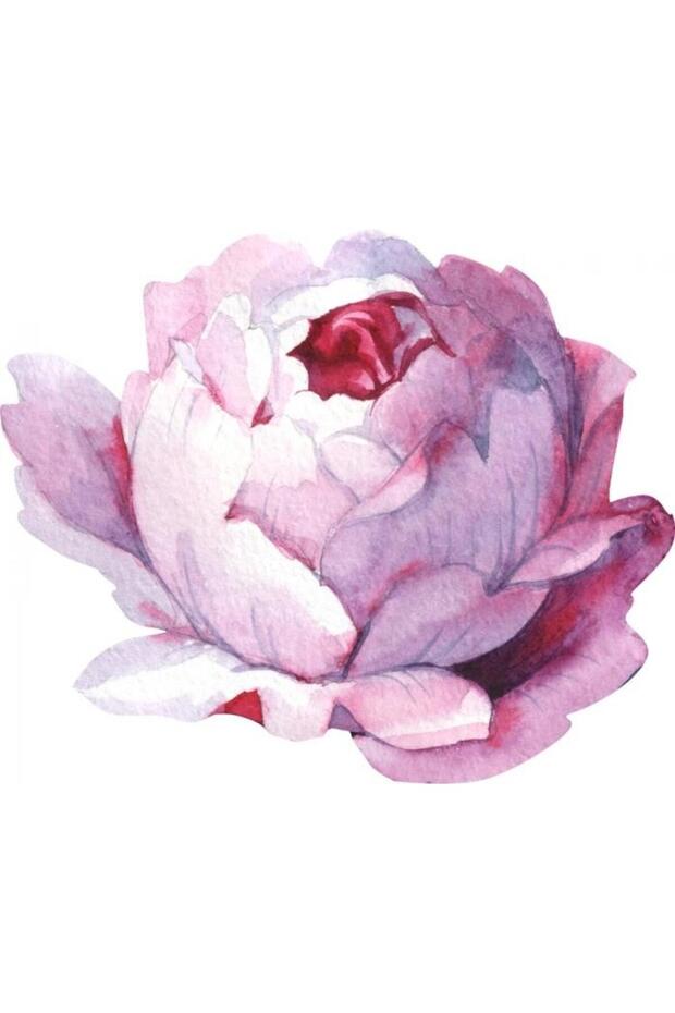 Supla Servis-11340 - 1