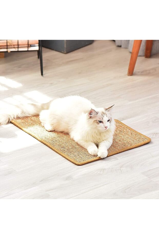 Cat Scratcher Mat Sisal Fabric 23.6 x 15.7 Inch with Catnip