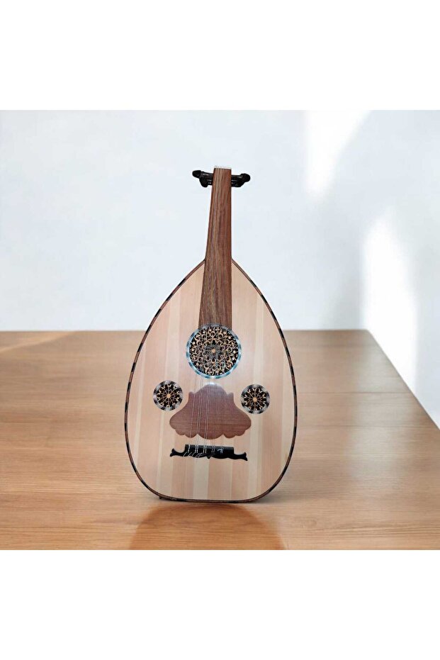 عود موسيقي فئة متوسطة - 1