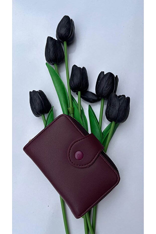 David Polo Women's Wallet with Card Holder Compartment, Paper and Coin Compartment, Zipper and Snap Closure