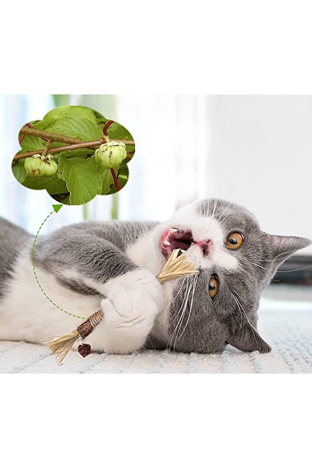 Sawanork 3 PCS Cat Chew Toys, Silvervine Chew Stick, Large Catnip Toys - 5