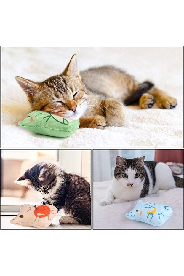 Sunscreen 5 Pack Catnip Plush Cat Toys - Interactive Catnip Pillow Animal Shapes - 3