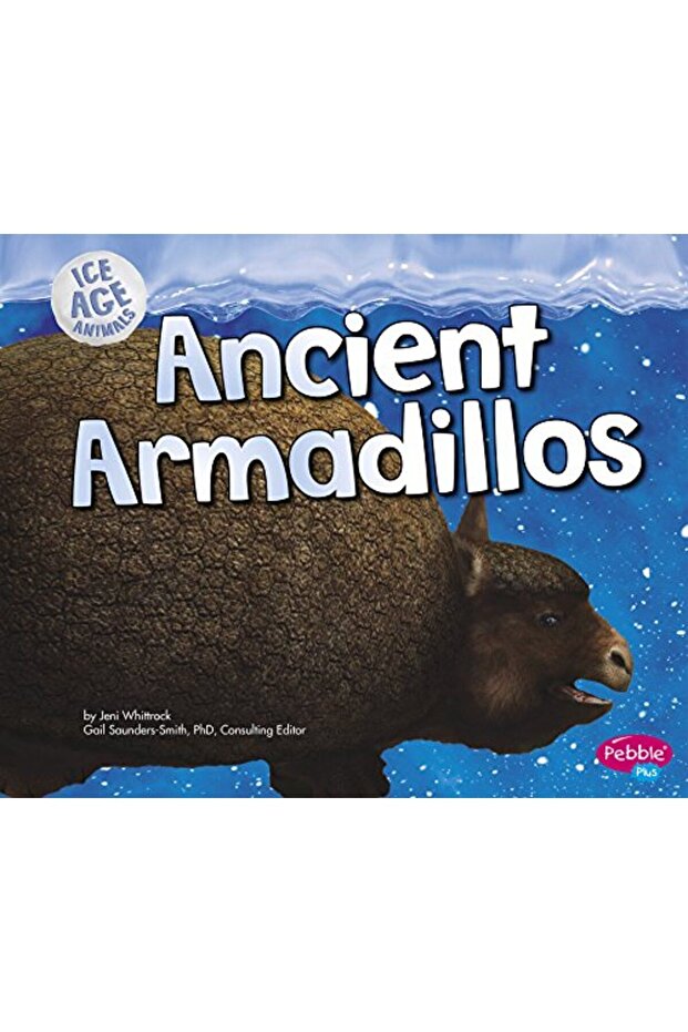 Ancient Armadillos - 1
