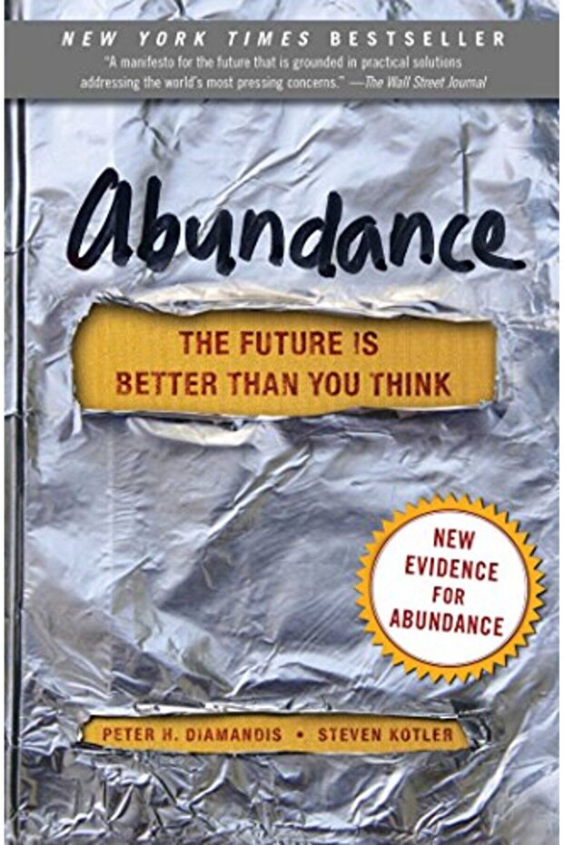 Abundance The Future Is Better Than You Think
