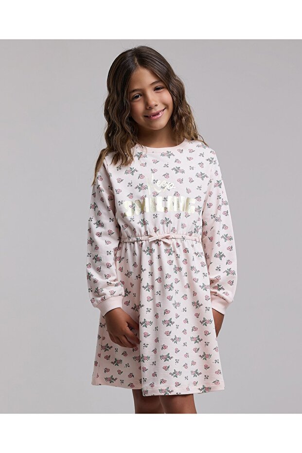 Printed Knit Dress with Crew Neck and Long Sleeves