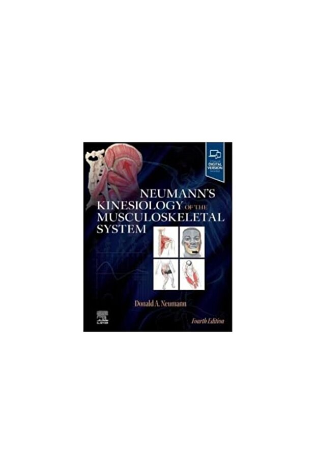 Neumanns Kinesiology Of The Musculoskeletal System