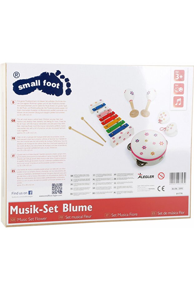 Set Instrumente Muzicale - 2