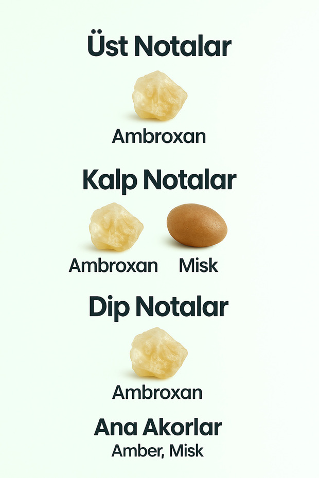 L3128 UNISEX PARFÜM 50 ML EDP - 2