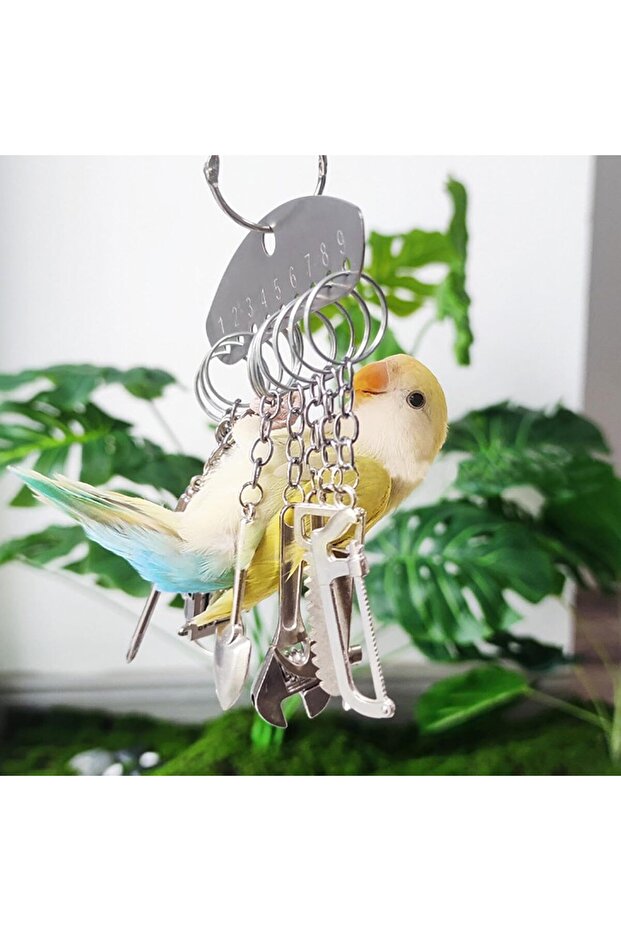 Stainless Steel Parrot Bell & Chew Toy – Cage Hanging Swing Accessory for Budgies, Cocka
