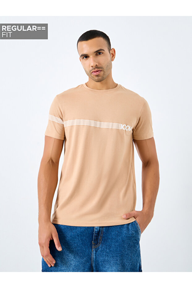Striped Slogan Print Regular Fit T-Shirt