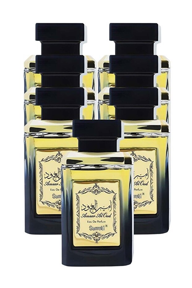 عطر أمير العود 6 قطع 100 مل