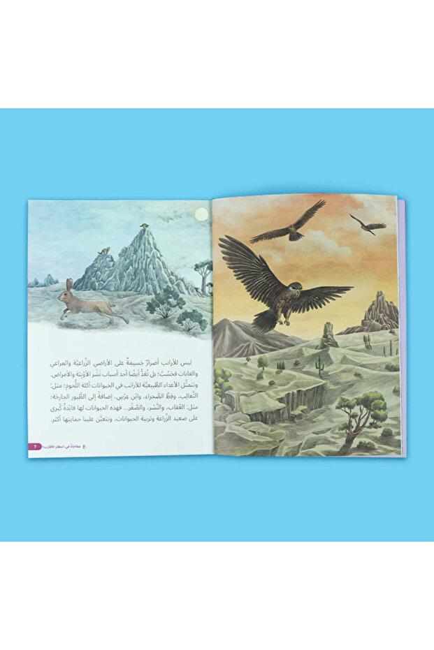 مغامرات في الصحراء - رحلة البحث عن الحقيقة 5 قصص - 5