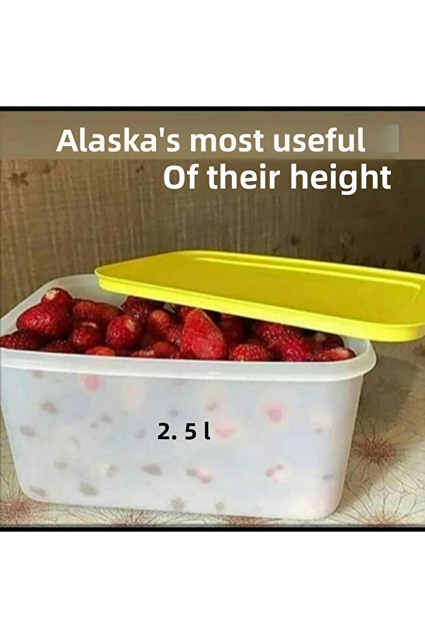 ألاسكا 2.5 لتر - 2