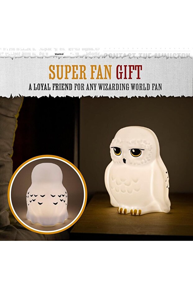 Harry Potter Hedwig Işık - 5