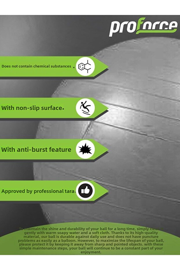 Minge Pilates 65 cm 1100 gr - 4