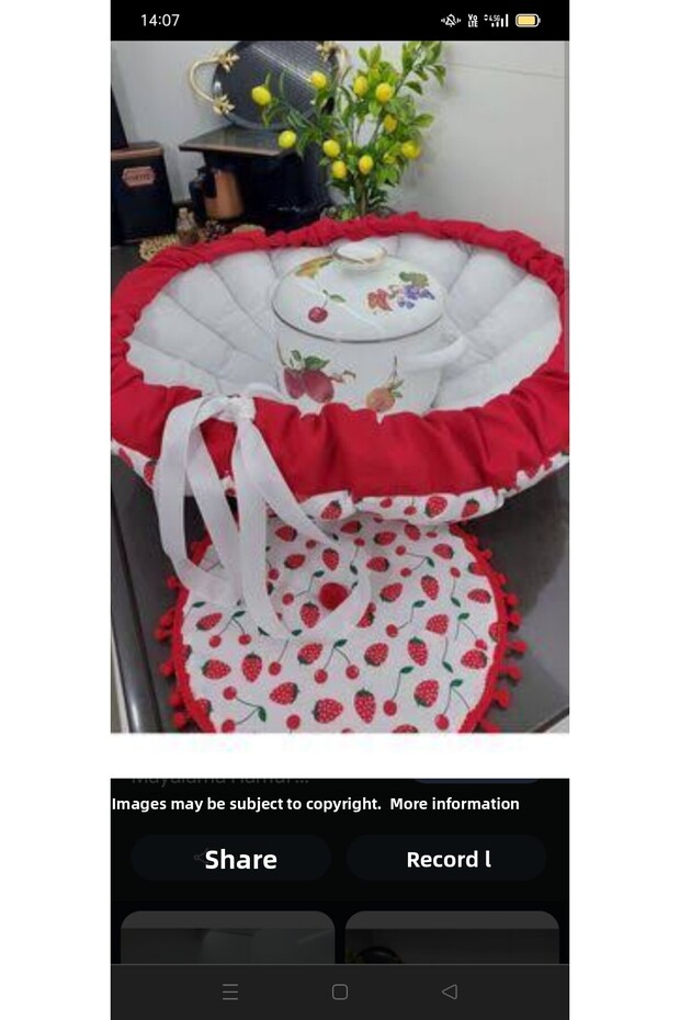 Yogurt Fermentation Mat - 2