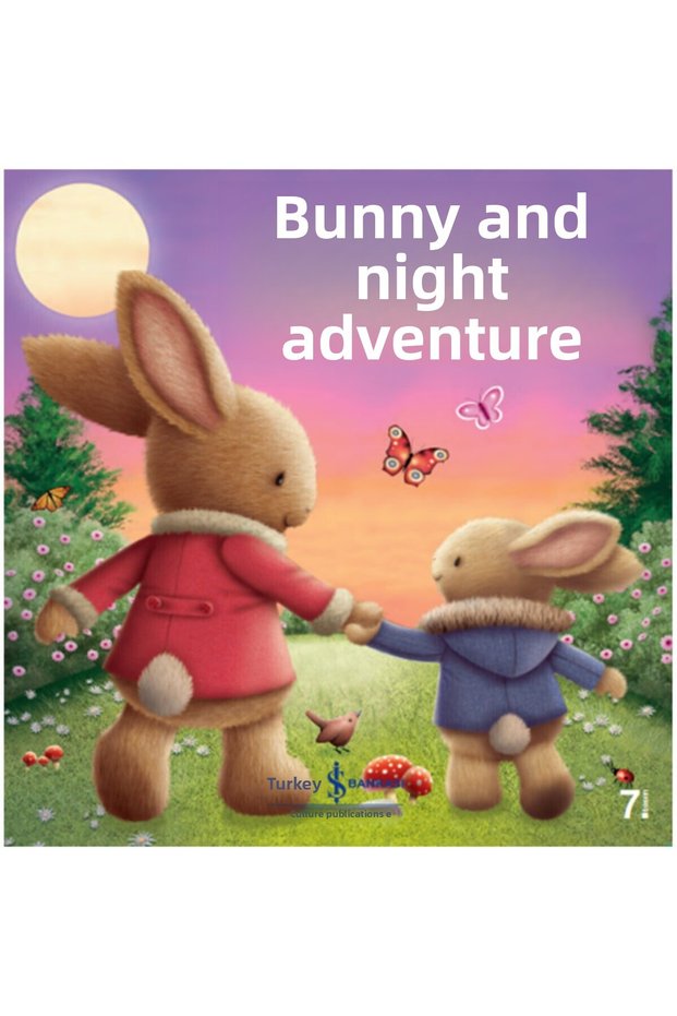 Business Culture Melanie Joyce the Bunny and the Night Adventure